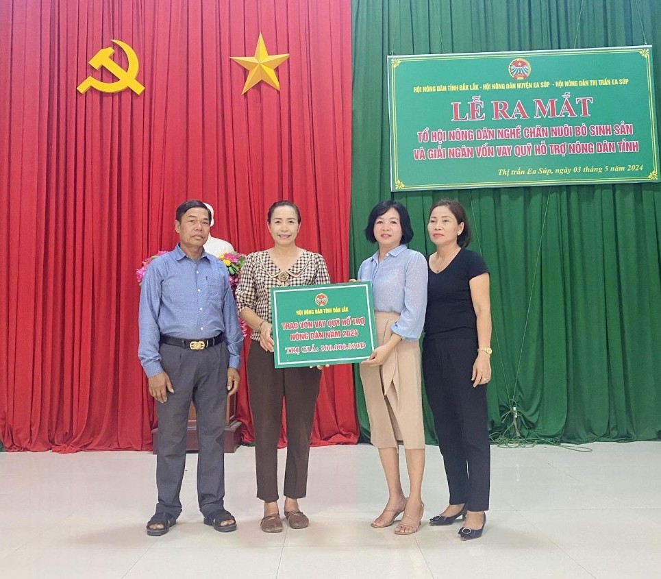 Ra mắt Tổ hội nông dân nghề chăn nuôi bò sinh sản
